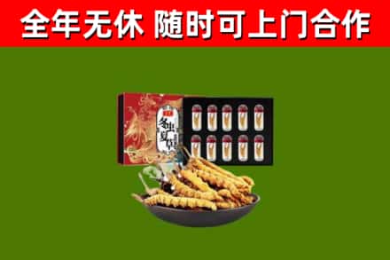 商水回收冬虫夏草价格
